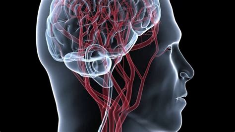 Understanding Metabolic Encephalopathy: Causes, Symptoms, and Treatment ...