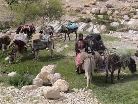 Iran nomadic pastoralists_CENESTA (3).jpg | International Year of ...