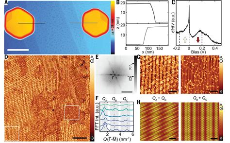 Self-induced spin glass state in elemental and crystalline neodymium ...