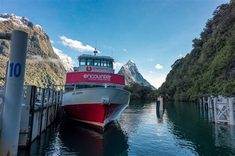 Guide to a Milford Sound Cruise (Choosing a Cruise & How to Prepare)