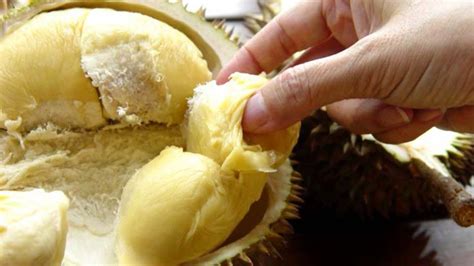 Durian Is The Smelliest Yet One Of The Most Nutritious Fruits In The World