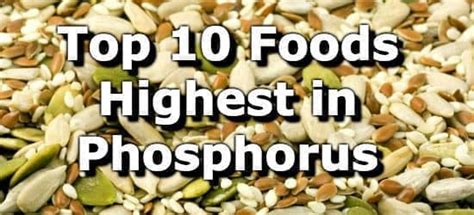 Top 10 Foods Highest in Phosphorus