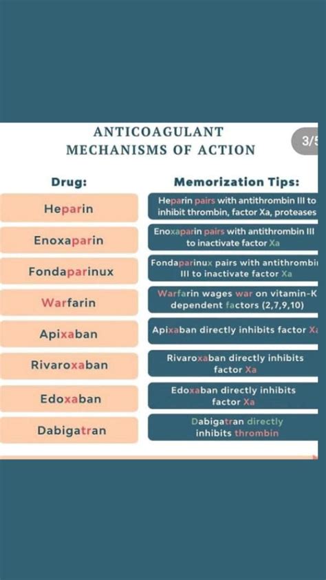 Anticoagulant Mechanisms of Action | Medical school essentials, Nursing school essential ...