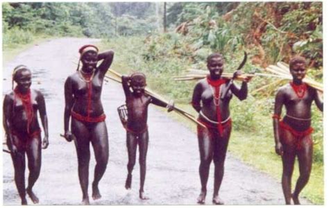 The Jarawa Tribe of Andaman Island, India | Andaman and nicobar islands, Island, Andaman islands