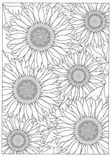 Colouring Pages/coloring Pages/colouring Book/kids  Etsy UK sketch template