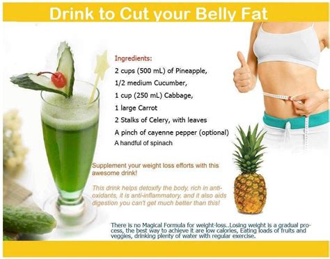 Belly fat causes » nyspeechcenter.com