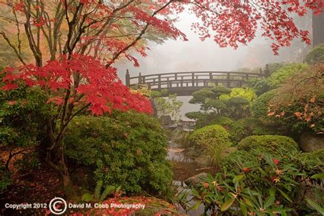 Capturing Oregon: The Portland Japanese Garden - Travel Oregon