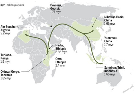 First Humans In Africa