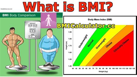 BMI Explained - The 3 Week Diet Success: Lose Weight Fast With The 3 ...