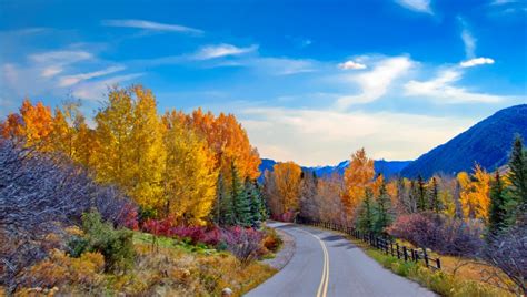 Colorado fall colors forecast 2023: Fall foliage map