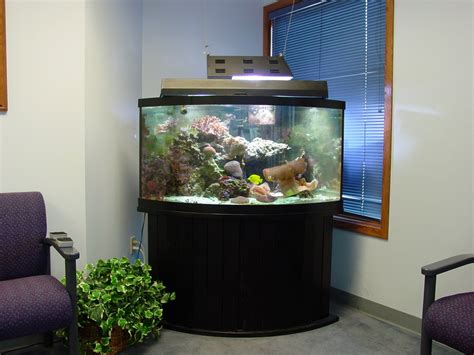 Fish Aquarium Gallery of Aquatic Designs | Aquarium Maintenance | Grand Forks, ND