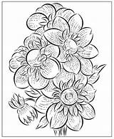 Nicoles Free Coloring Pages March 2020 sketch template