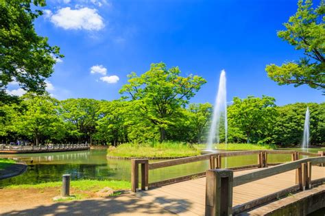 都心のオアシス！代々木公園の見どころ・楽しみ方をご紹介 | エアトリ - トラベルコラム