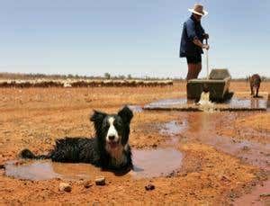 Australia's decade-long drought ends | New Scientist