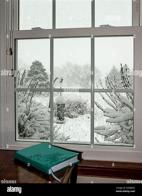 Window view of snow after snowstorm on branches and trees Stock Photo ...