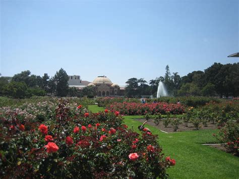 L.A. Places: Exposition Park Rose Garden