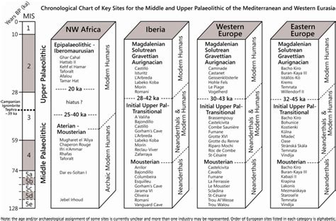 Palaeolithic timeline chart | Chart, Timeline, Evolution