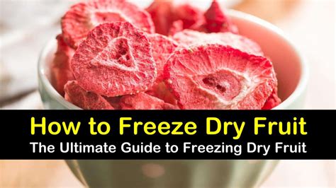 5 Quick Ways to Freeze Dry Fruit