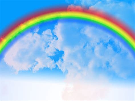 The Seven Colors of Rainbow | Rainbow, Over the rainbow, Rainbow background