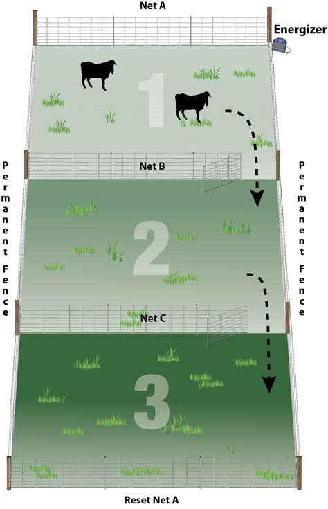 Practical Pasture Configurations for Rotational Grazing ...