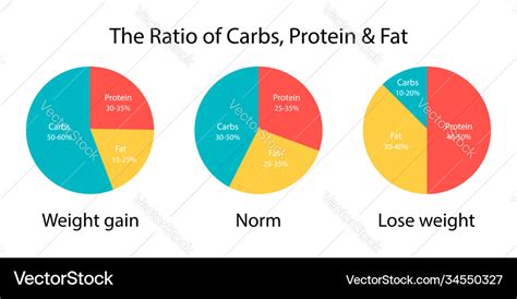 Diagram ratio carbs fats and protein Royalty Free Vector