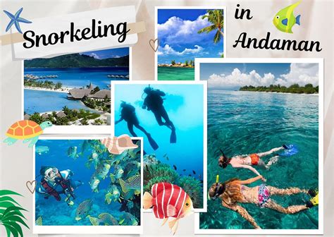 Discovering Vibrant Marine Life: Snorkeling in the Andaman Islands | by ...