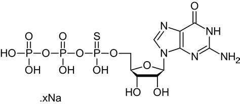 GTPalphaS (aqueous solution), Guanylate cyclase inhibitor (CAS 81570-51-6) (ab146759)