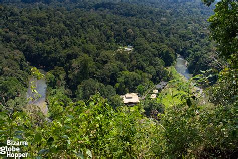 Best Lodges to Experience the Real Borneo, Malaysia | Bizarre Globe Hopper