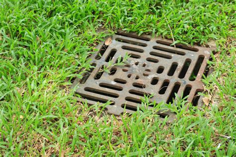 Drain Fields VS Leach Fields: What Is The Difference? - All Septic ...