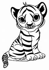 Free tiger Drawing To Print And color  Tiger Coloring Pages sketch template