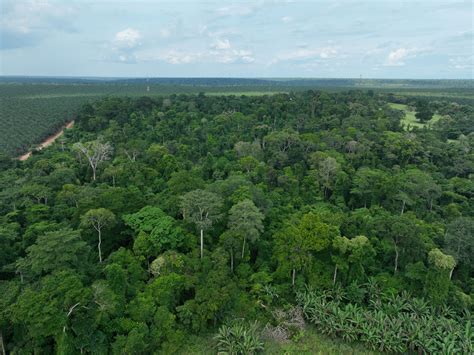 Towards improving farmers' livelihoods in Okomu Forest Landscape in ...