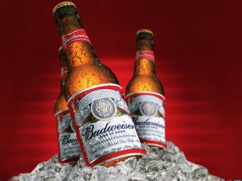 Budweiser Beer reviews in Beer & Cider - ChickAdvisor