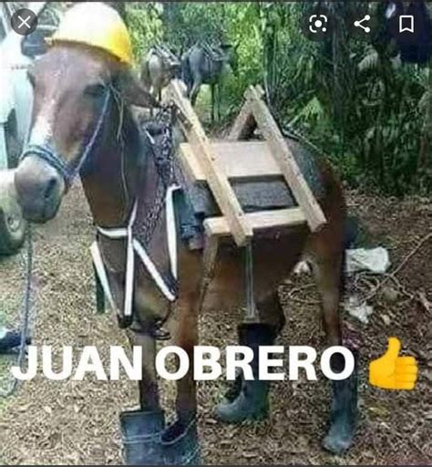 Juan obrero | Memes divertidos, Imágenes graciosas, Memes de juan