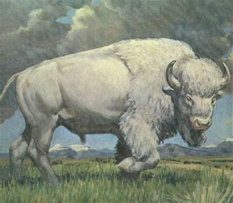 Pin by Adam James on Interesting and Haunting Images | Buffalo art, Bison art, Buffalo painting