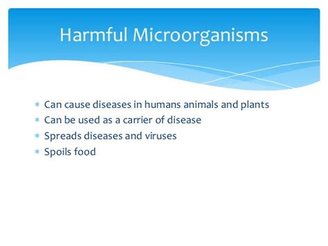 Useful and harmful microorganisms