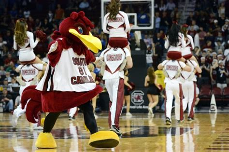 Basketball Mascots: The Unsung Heroes of College Courts - WhiteClouds