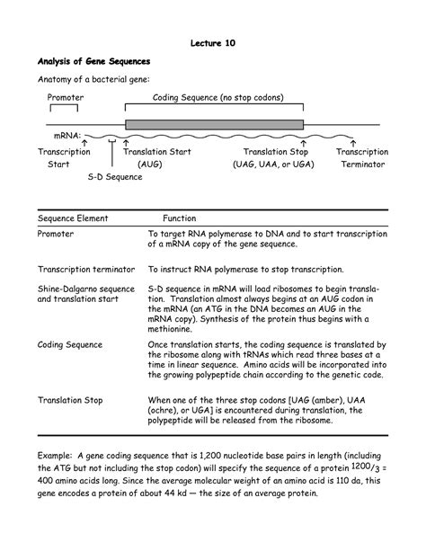 Gene Structure and DNA Analysis - Lecture 10Lecture 10Lecture 10Lecture ...