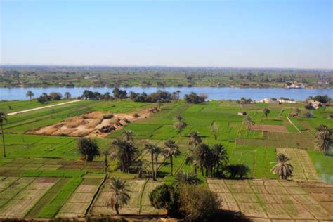 Nile River Agriculture Stock Photos, Pictures & Royalty-Free Images - iStock