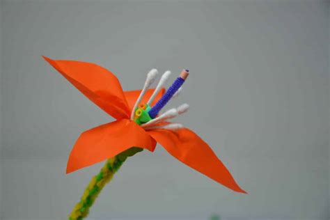 3D Flower Model - Plant Science