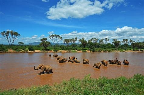 Samburu National Park | kenya national parks, kenya safaris