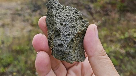 Stone tools in Ukraine offer oldest evidence of humans in Europe - The Hindu