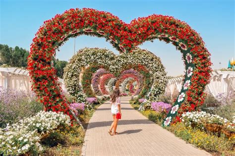 The Dubai Miracle Garden- why you must visit | Miracle garden, Dubai ...