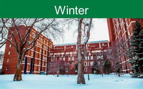 Weather in Edmonton | University of Alberta International