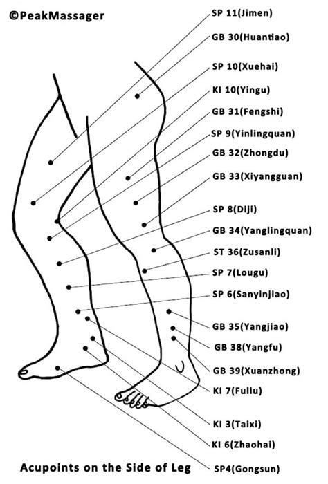 Leg AcuPressure Points: 50+ Pressure Points in Leg - PeakMassager