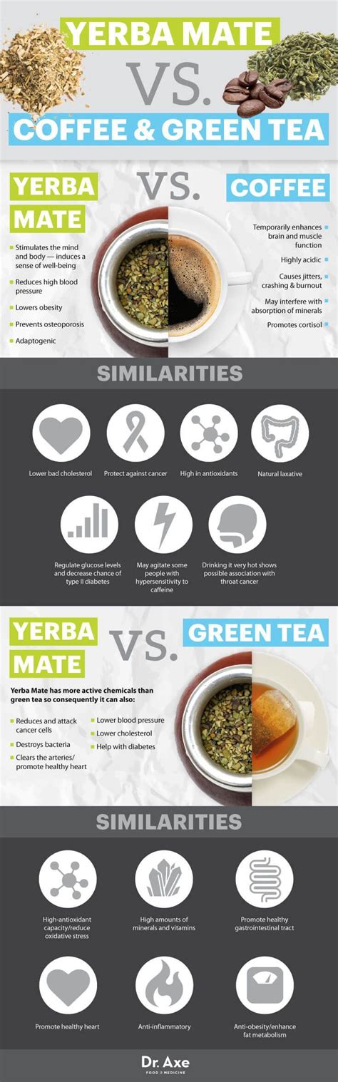 Yerba Mate Benefits: Does It Fight Cancer? - Dr. Axe | Yerba mate benefits, Yerba mate, Tea recipes