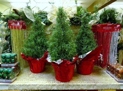 Rosemary Christmas Tree | Rosemary christmas tree, Holiday time ...