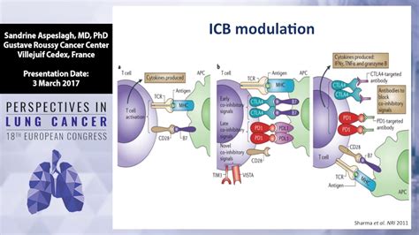 Basis for immunotherapy in lung cancer - YouTube