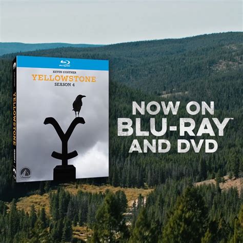 Yellowstone Season 4 Available Now on Blu-Ray & DVD | Blu-ray Disc, DVD ...