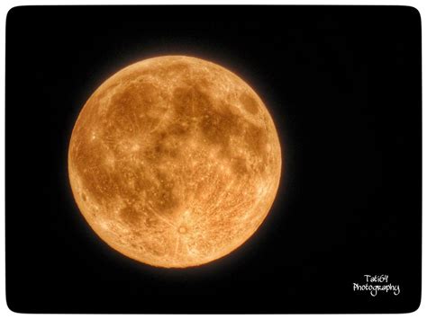 Super moon | {"effects_tried":0,"photos_added":0,"origin":"g… | Flickr