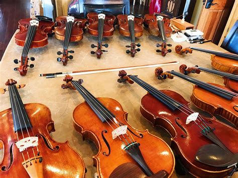 Terra Nova Violins - The Largest Violin Shop in Texas